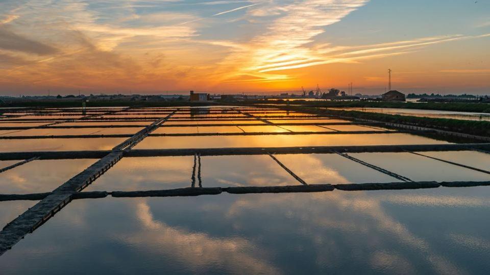 Appartamento Moliceiros Aveiro Esterno foto